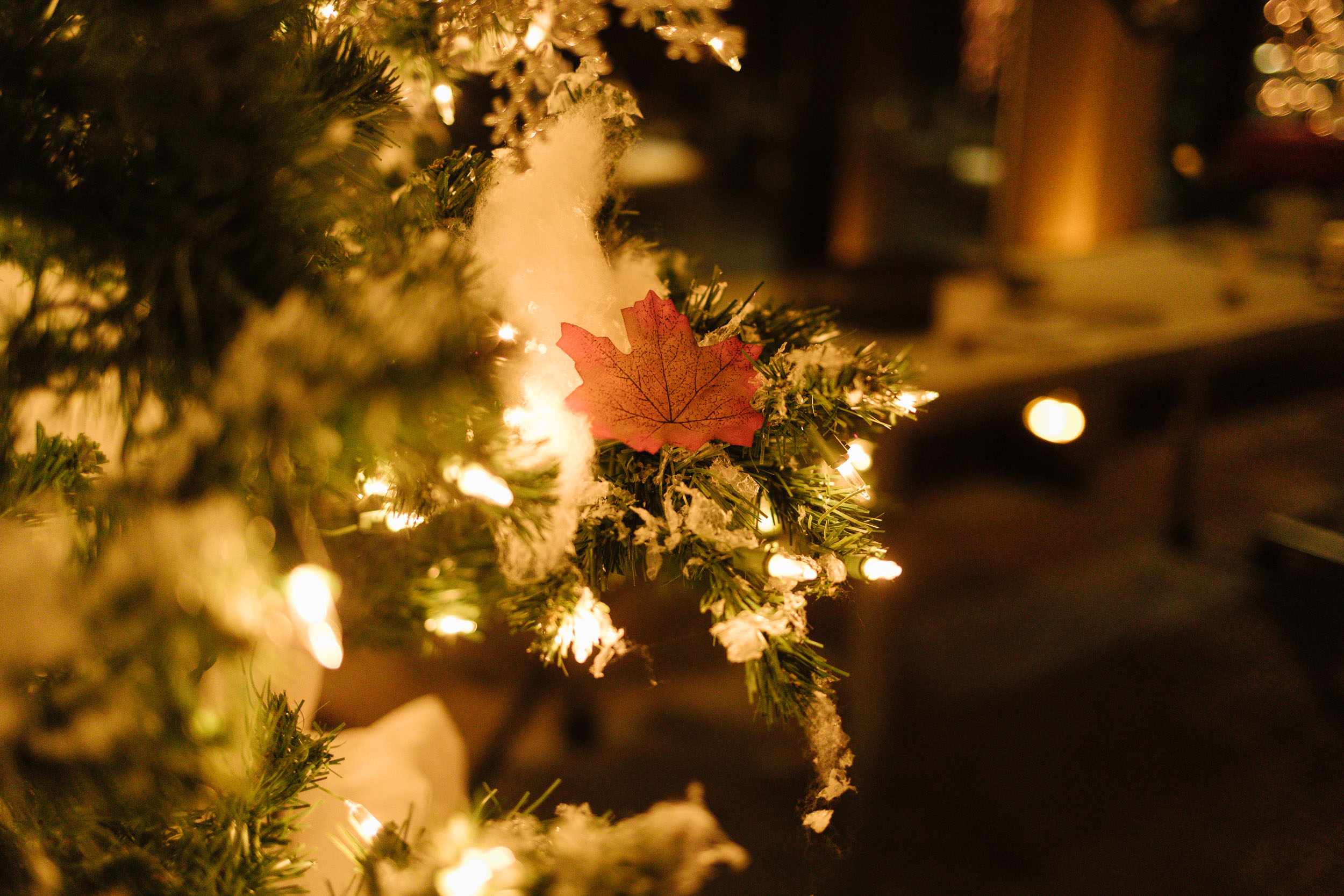 Featured image for “Narnia Event”