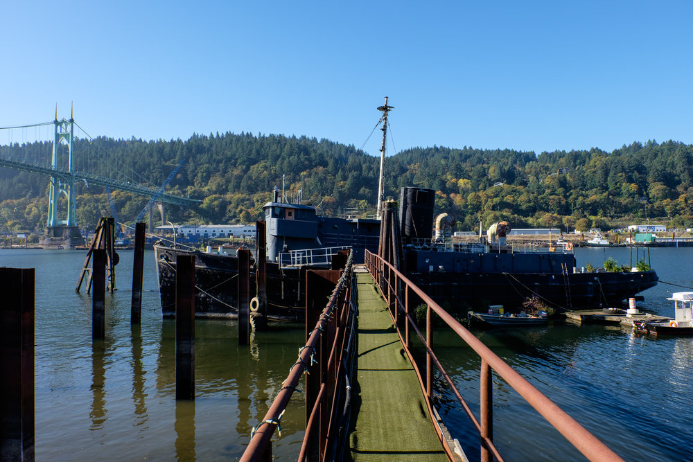 Featured image for “Ship of Fools”