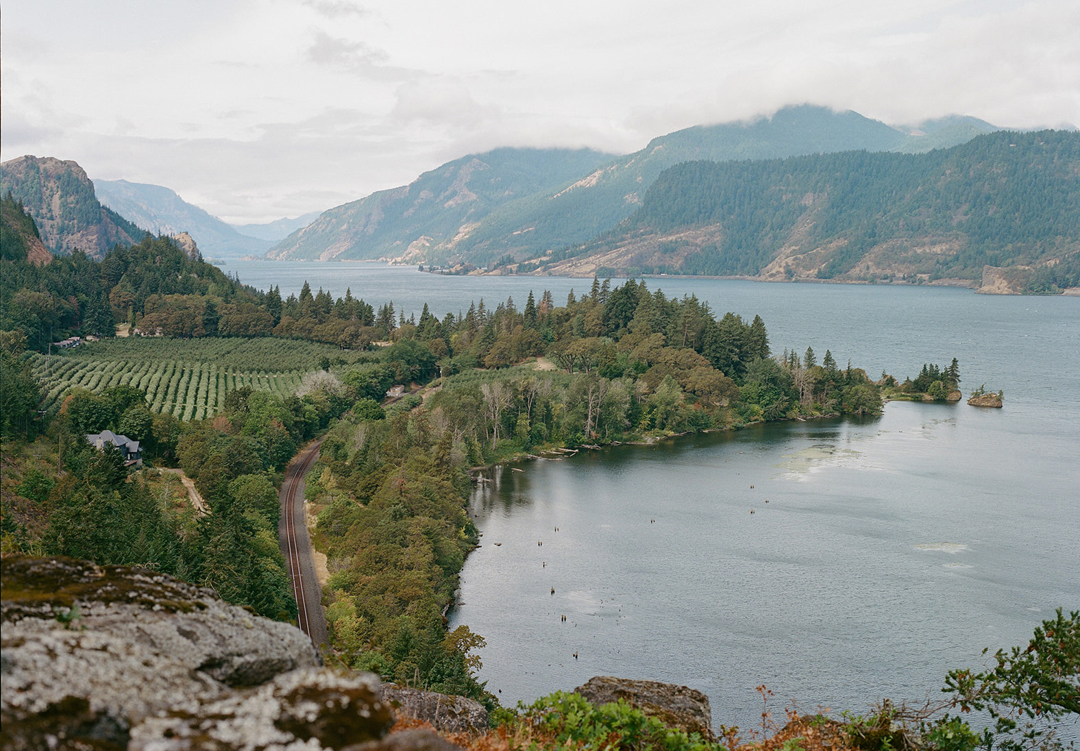 Featured image for “Arnete & Drew”