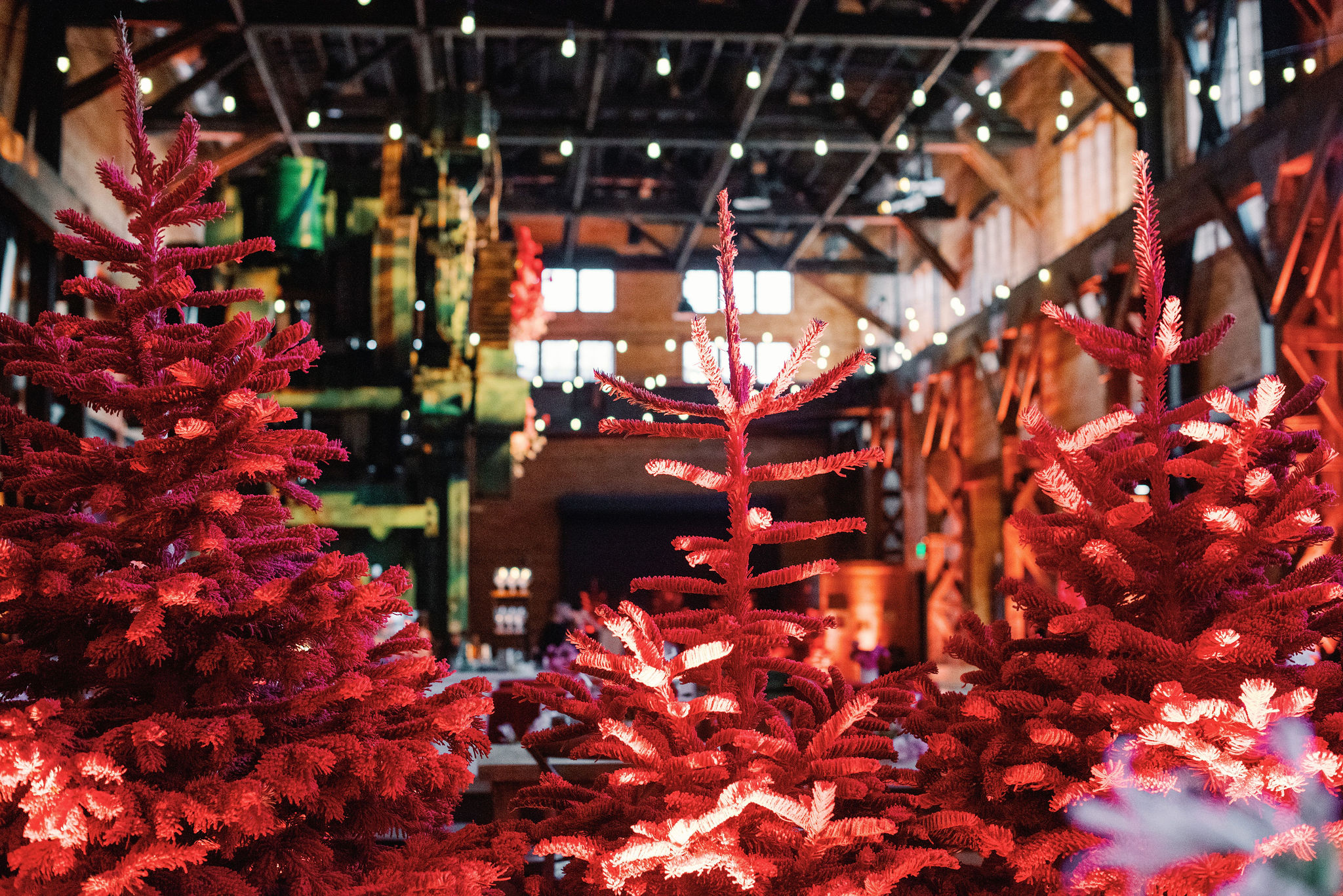 Featured image for “Precoa Party”